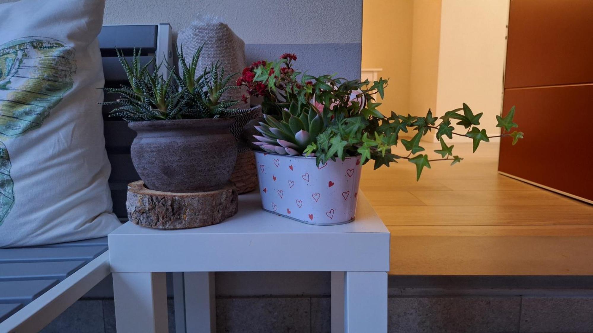 Bed and Breakfast La Tana Del Geco Iseo Exterior foto